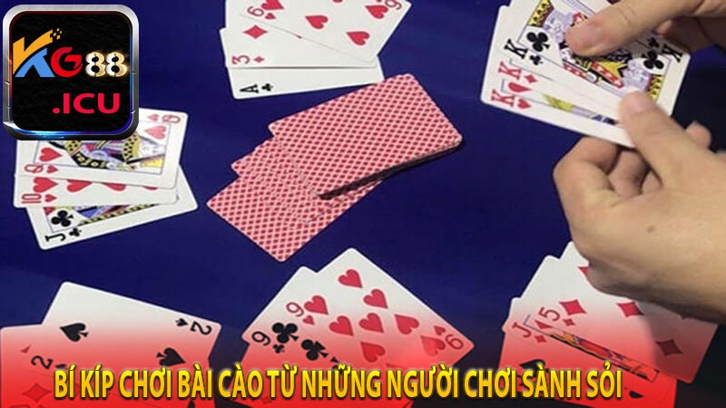 Bí kíp chơi bài từ những người chơi sành sỏi