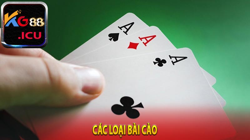 Các loại bài cào