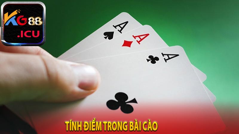 Tính điểm trong bài cào